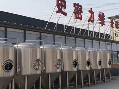 什玲镇精酿啤酒设备厂—如何判断精酿啤酒设备的密封件需要更换？